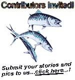 Editorial contributions welcomed!