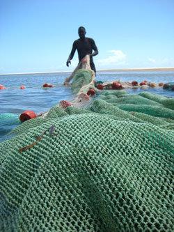 Drag netter in Inhambane