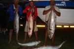 Neil Campbells Amberjack