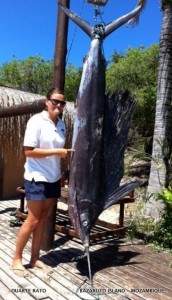 58kg Sailfish (c) Duarte Rato