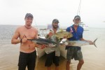 Theo, Sean and Paul...yellowfin tuna, yellowfin kingfish...king mackeral.For the pan!