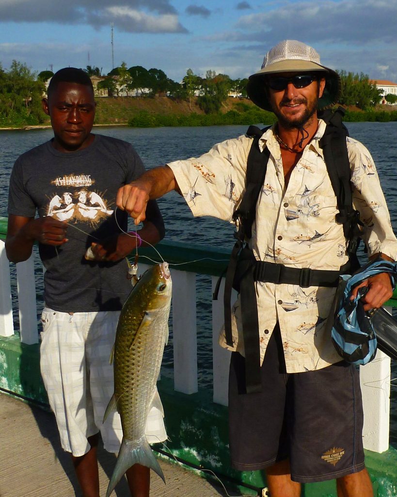 These giant blue tailed mullet are caught daily off the pier. They are gaffed with weighted trebles and hauled up. They use light handline with tiny hooks to hook these pretty fish. with.