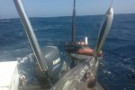 Yellowfin Tuna MYDO Spoon