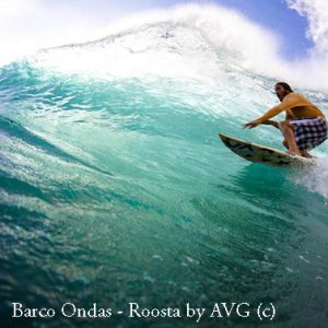 Boat Surfing (4 max)