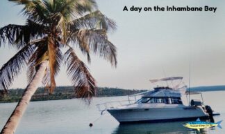Day on the Inhambane Bay