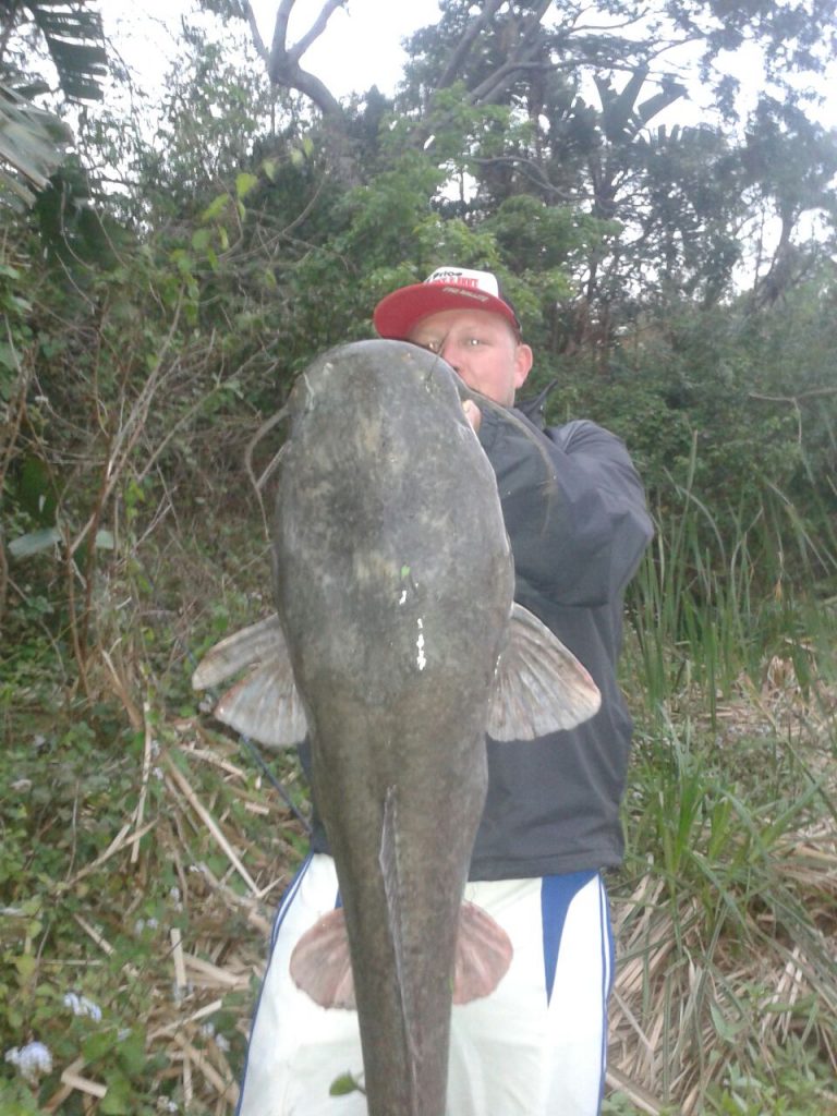 Danger Elliott hefts a huge barbel caught on the KZN coast