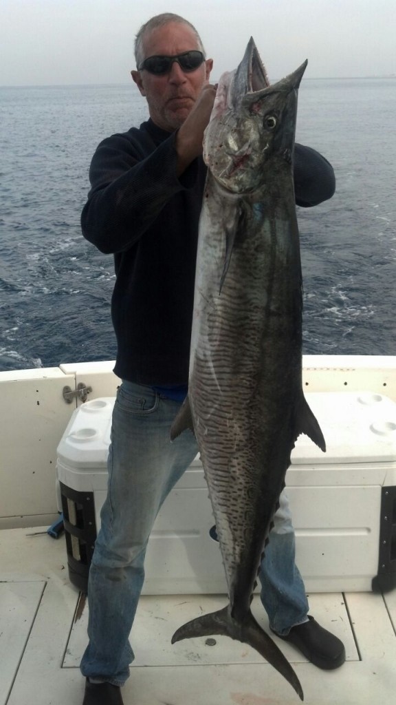 Scomberomerous Commersoni - 'couta, king mackeral, tanguiguie, spanish, narrow barred...but this one was caught in the Med!