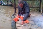 Captain Rob Nettleton measures up Gavin Naude's Umzimvubu Zambezi Shark, before it got a tag and went free again