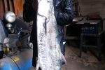 Mike Stubbs and another worthy king mackerel...