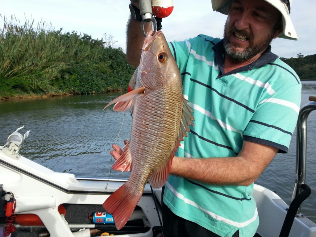 Chris Leppan (the South Coast version) has been spending seasons working out how to catch Mangrove Jack, on the troll.