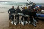 Jason Heyne with his spearfishing report for KZN. Jason compiles a collection of fish speared each and every week.
