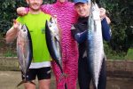 Tuna and couta