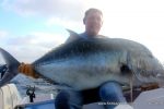 Fishing Barra
