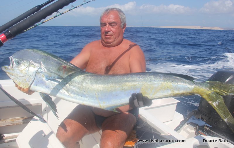 Dorado start to show up in catches as we move into summer time in Mozambique