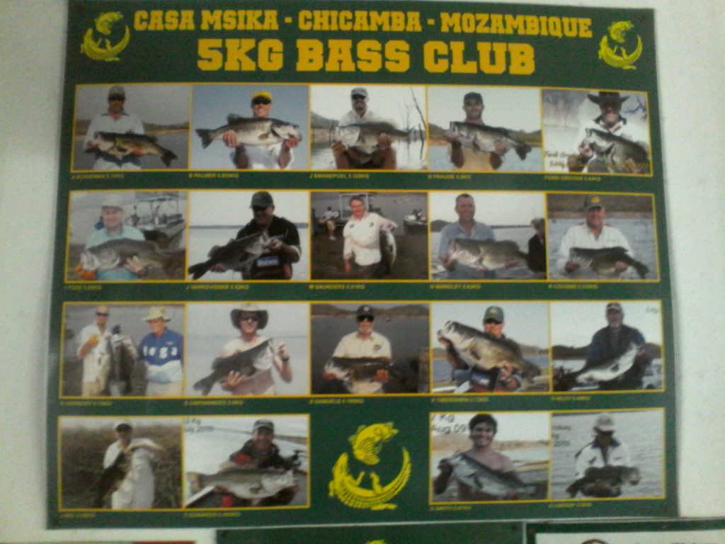 Casa Msika 5kg Bass Club