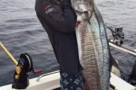 Mike Stubbs really enjoying the south coast fishing this time of year.