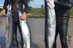 A brace of wahoo