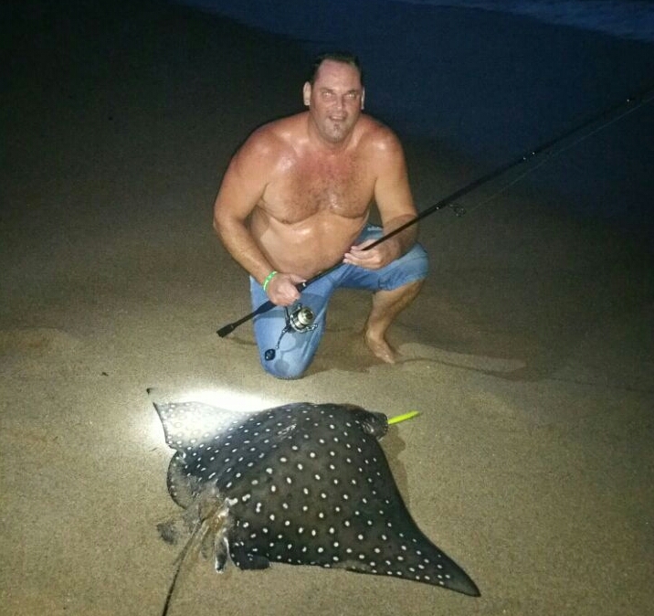 The Spotted Eagle Ray that caused all the chaos