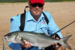 And another shad on a lure off Umdloti Beach