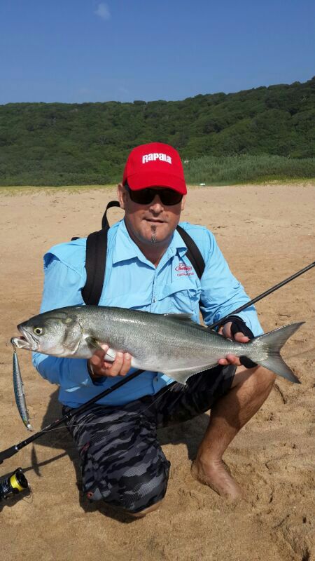 And another shad on a lure off Umdloti Beach