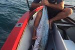 Marc again, another 30kg fish caught on a MYDO LiveBaitSwimmer #2 Couta Trace