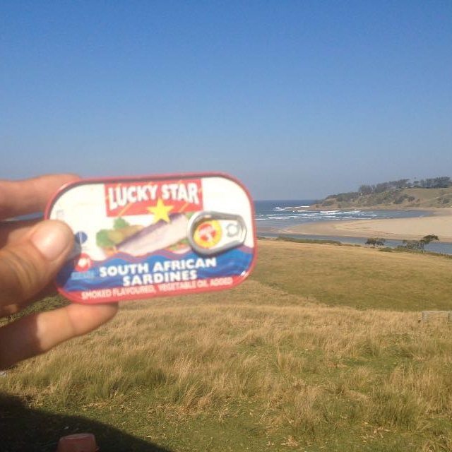 Lucky Star South African Sardines spotted off Umzumbe