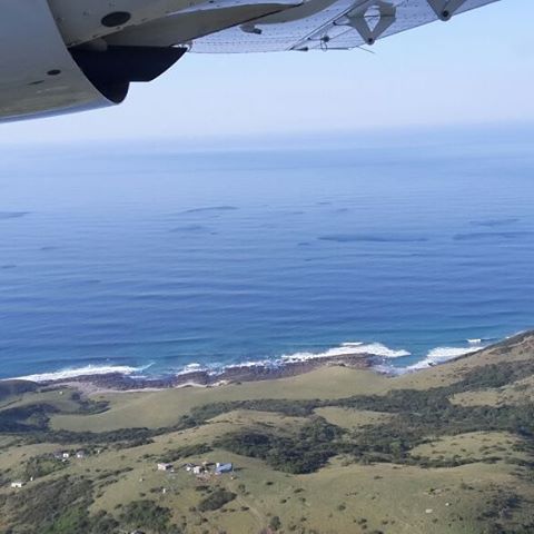 Greg Thompson aerial shot taken over the Transkei coastline, showing shoals of baitfish