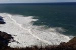Perfect sardine conditions, but no sardines - Sardine Report 24 June 2016