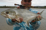 Catching Garrick on Fly with JP Bartholomew