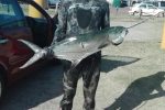 KZN Spearfishing Report