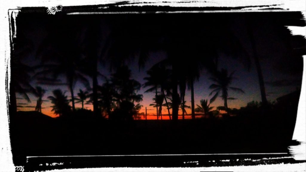 A Guinjata 2016 sunrise through the coconut palms