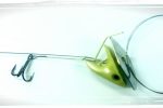 MYDO Baitswimmer #2 with Billlplate