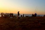 The Sardine Coast