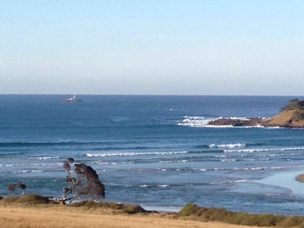 Sardine Report 8 July 2016 The Coast Guard on patrol for foreign poachers off Mdumbi in the deep Transkei