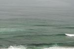 Report on spearfishing KZN