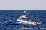 Fishbazaruto boats
