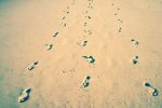 Leave only your footprints (c) Lalaland