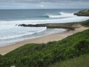 Surf at Tofinho