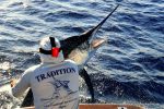 Captain Duarte Rato and friends Fishing The Great Barrier Reef with Team Tradition Charters