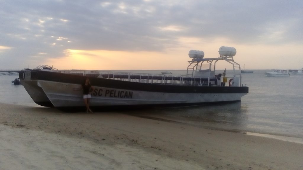 We were contracted to sea and surf trial this boat from Maputo to Pomene and back. 14 Hours each way by The Sardine crew.