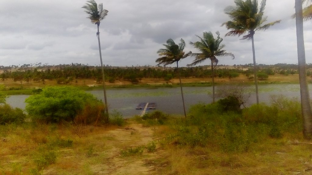 Dave's tilapia fish farm tours in inhambane