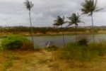 Dave's tilapia fish farm tours in inhambane