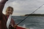 Salad fish on Inhaca Island