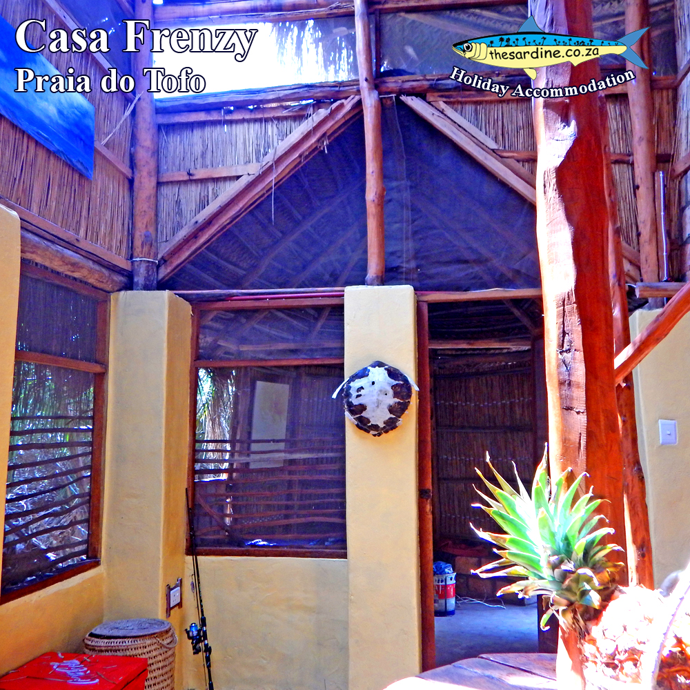 Inside Casa Frenzy