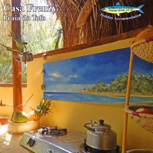 Casa Frenzy for Self-catering holiday in Tofo