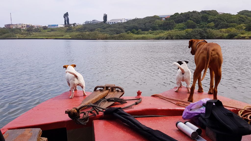 Umzimkuklu fishing with the dogs