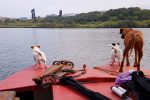 Umzimkuklu fishing with the dogs