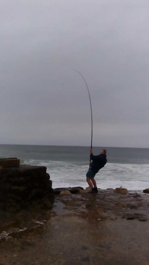 Diamond skate caught and released at The Block in Port Shepstone