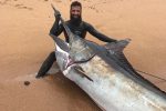 SA Spearfishing record for marlin