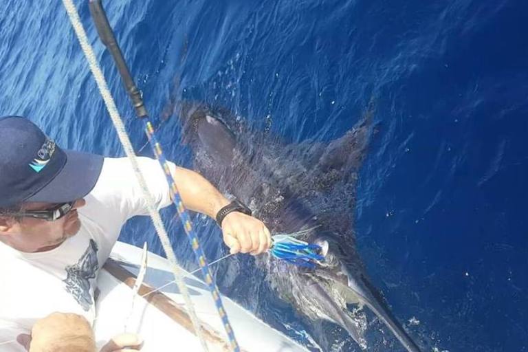 Nuno Mato co-ordinating the release of a Black Marlin off Inhaca Island